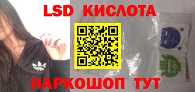 тгк Славгород