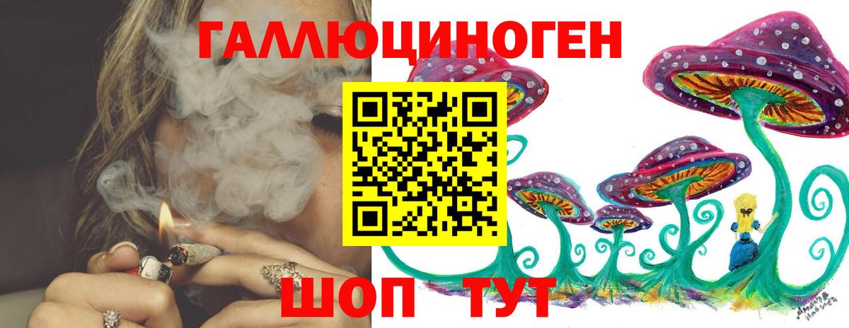 Галлюциногенные грибы Psilocybine cubensis Алатырь