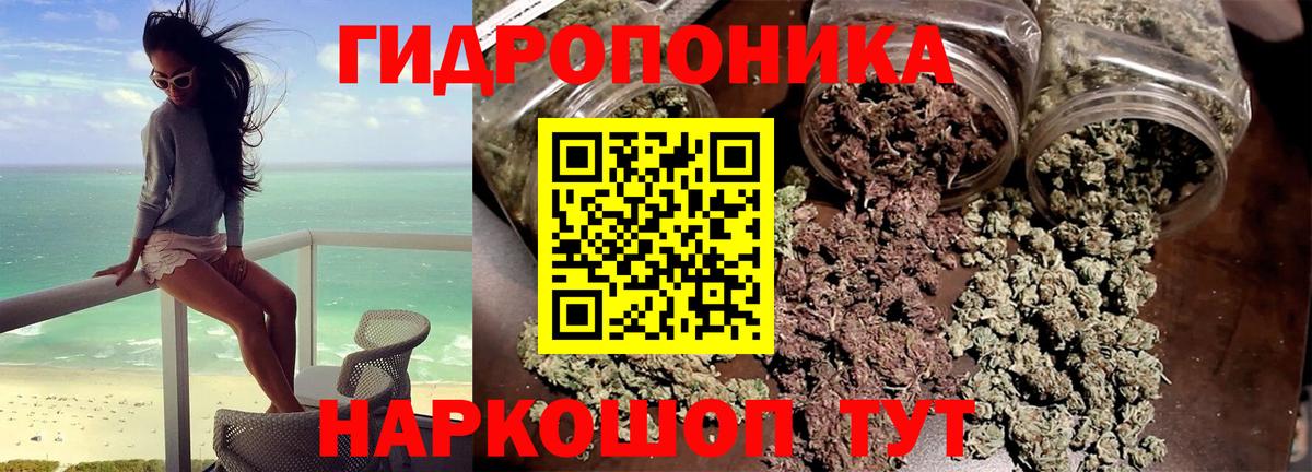 Каннабис THC 21%  МАРИХУАНА Bruce Banner  Бошки Шишки Ganja  Алатырь  Вход с VPN 